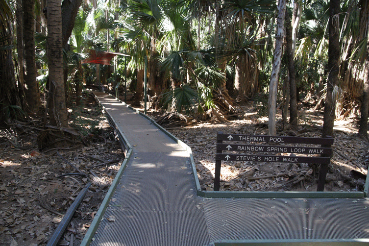 Mataranka Springs