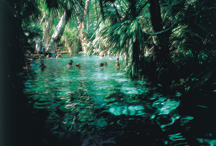 Mataranka Thermal Pools