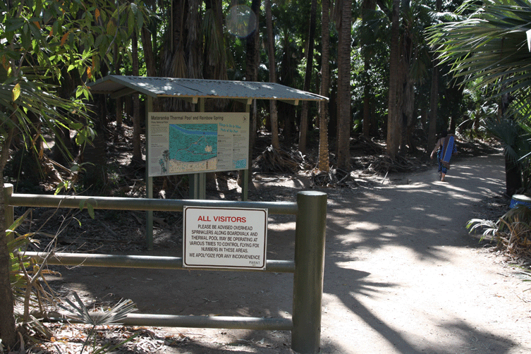 Mataranka Thermal Springs