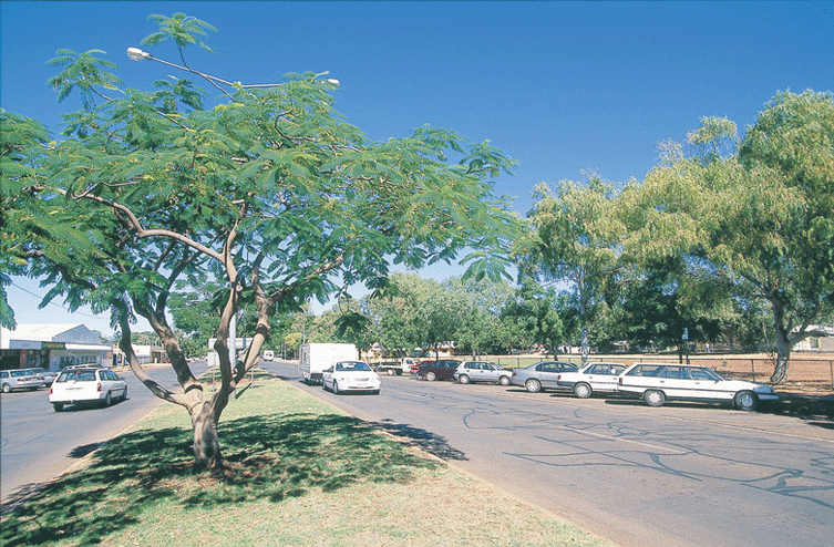 Tennant  Creek